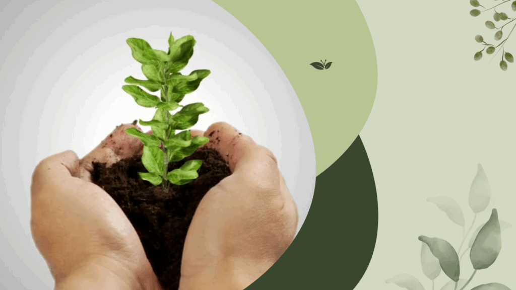 EURODELCA Productos de limpieza ecológicos